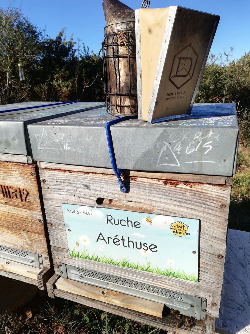 La ruche Aréthuse
