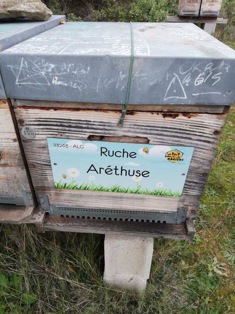 La ruche Aréthuse