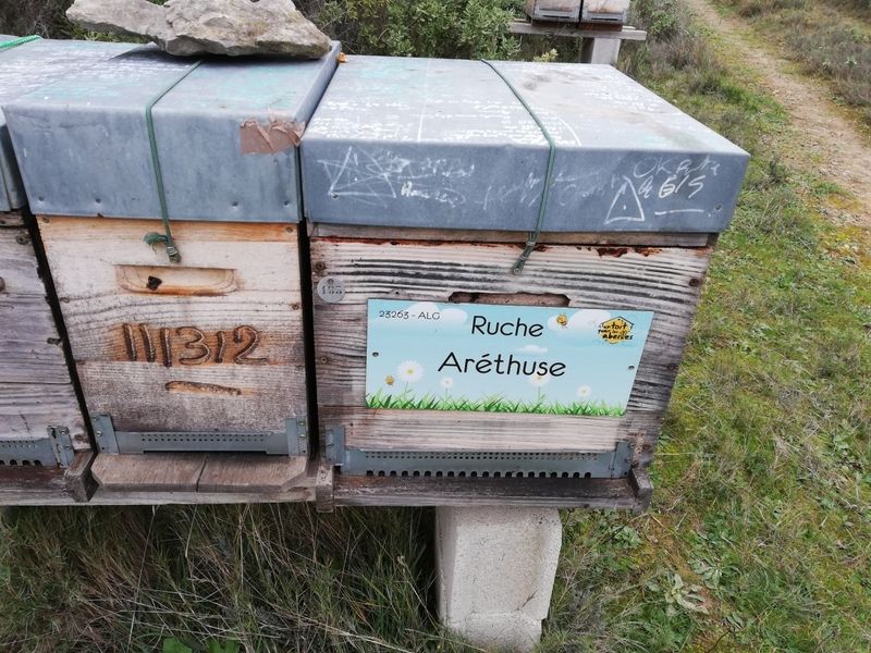 La ruche Aréthuse