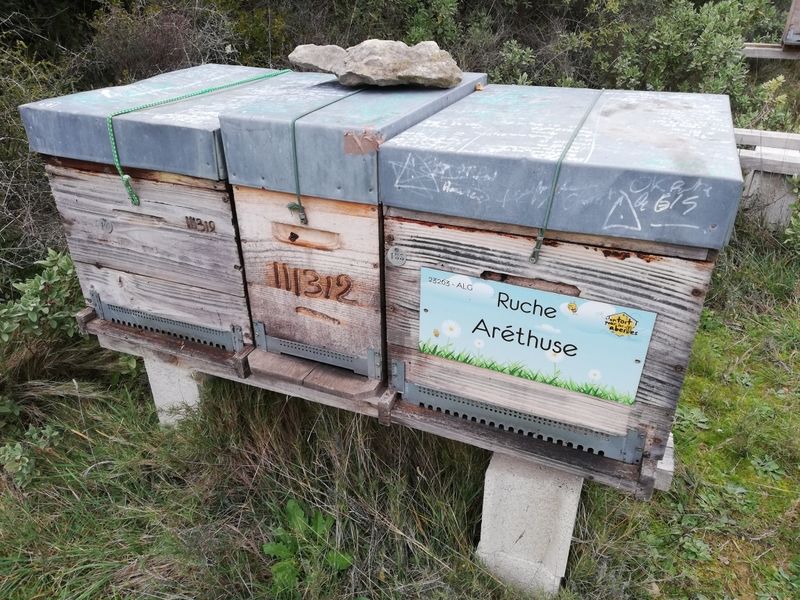 La ruche Aréthuse