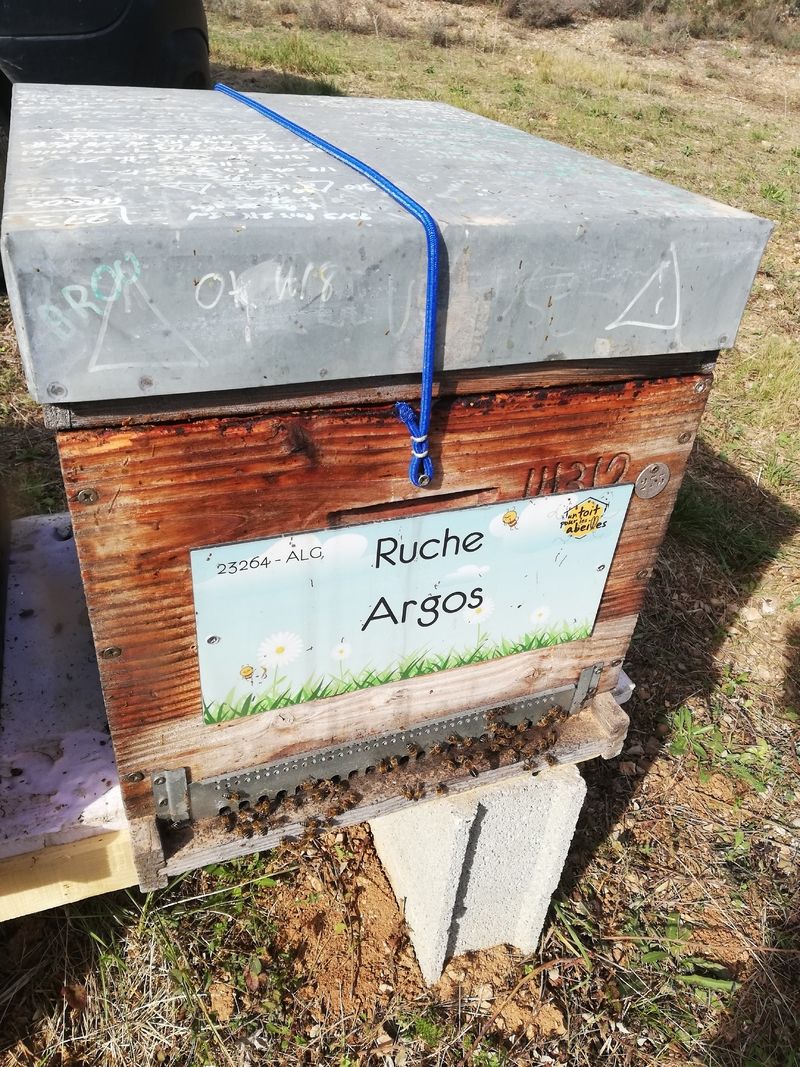 La ruche