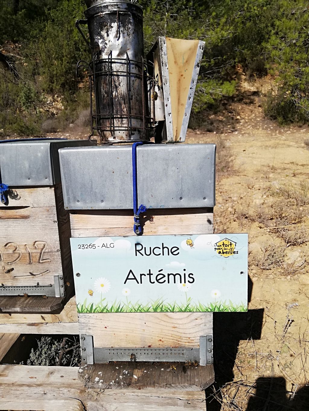 La ruche Artémis