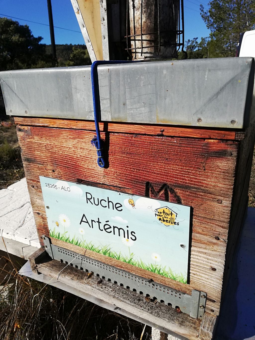 La ruche Artémis
