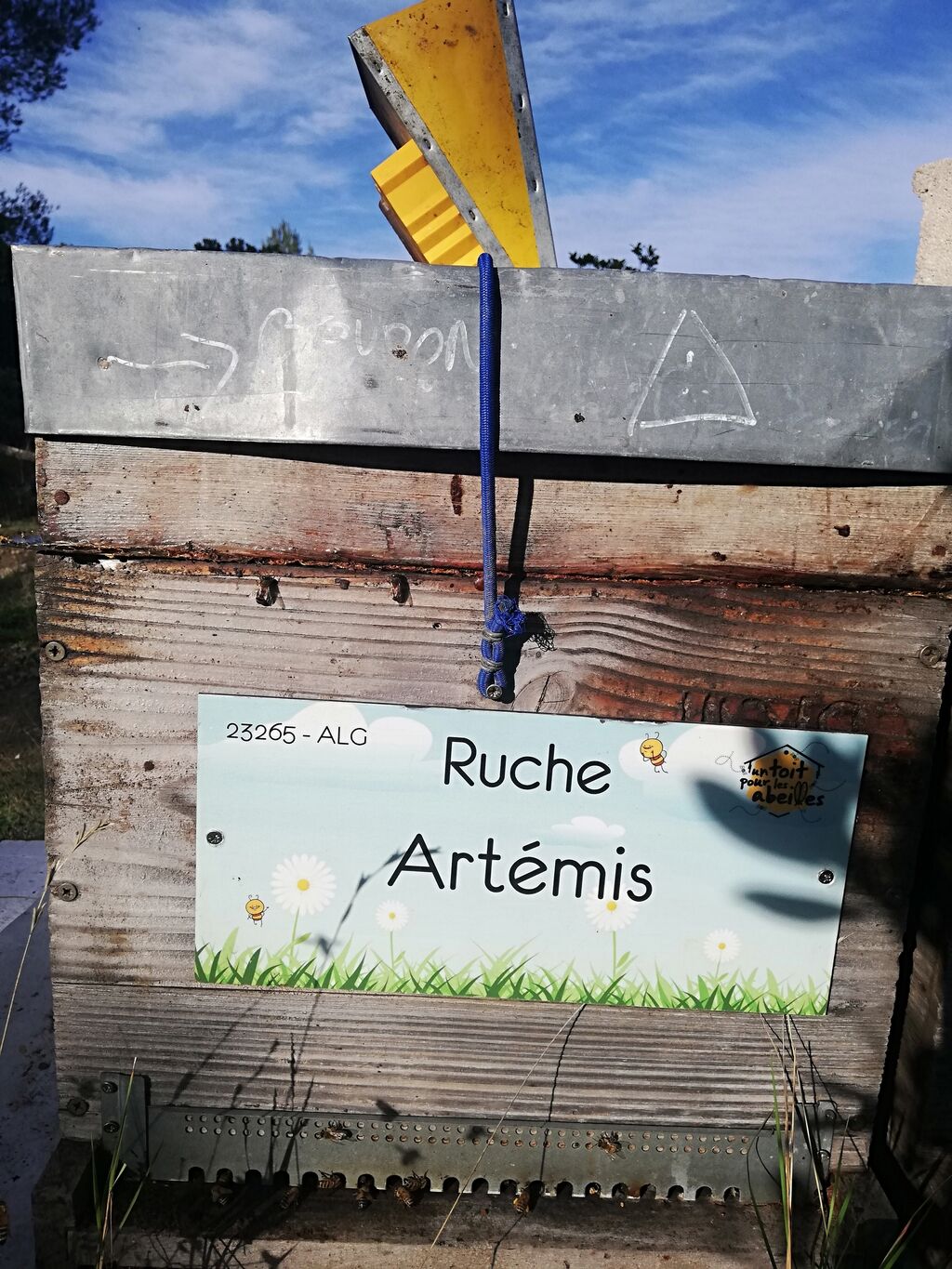 La ruche Artémis
