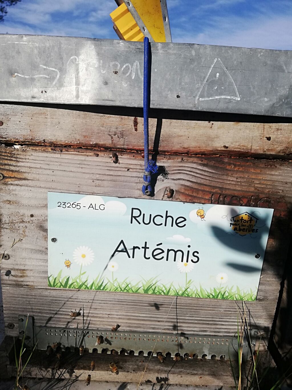 La ruche Artémis