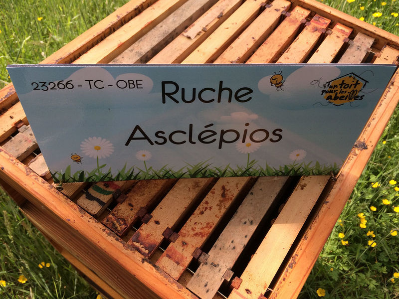 La ruche