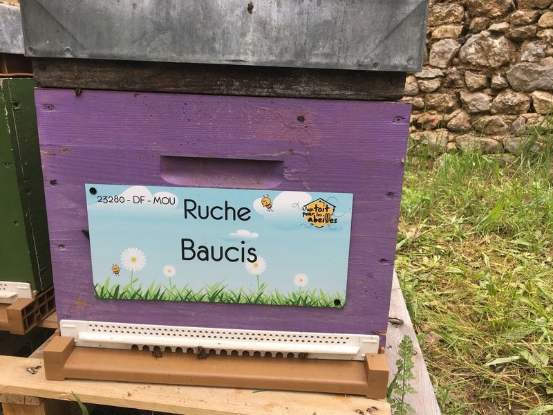 La ruche Baucis