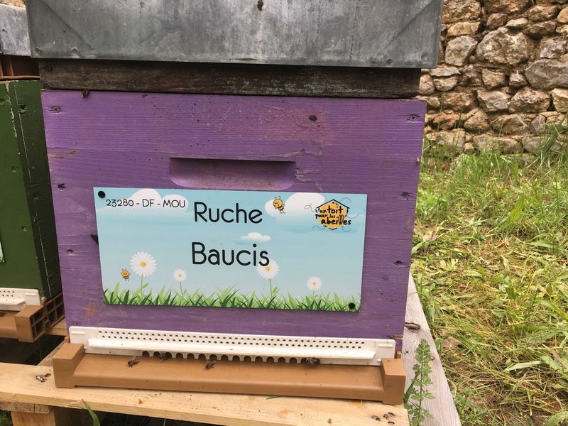 La ruche Baucis