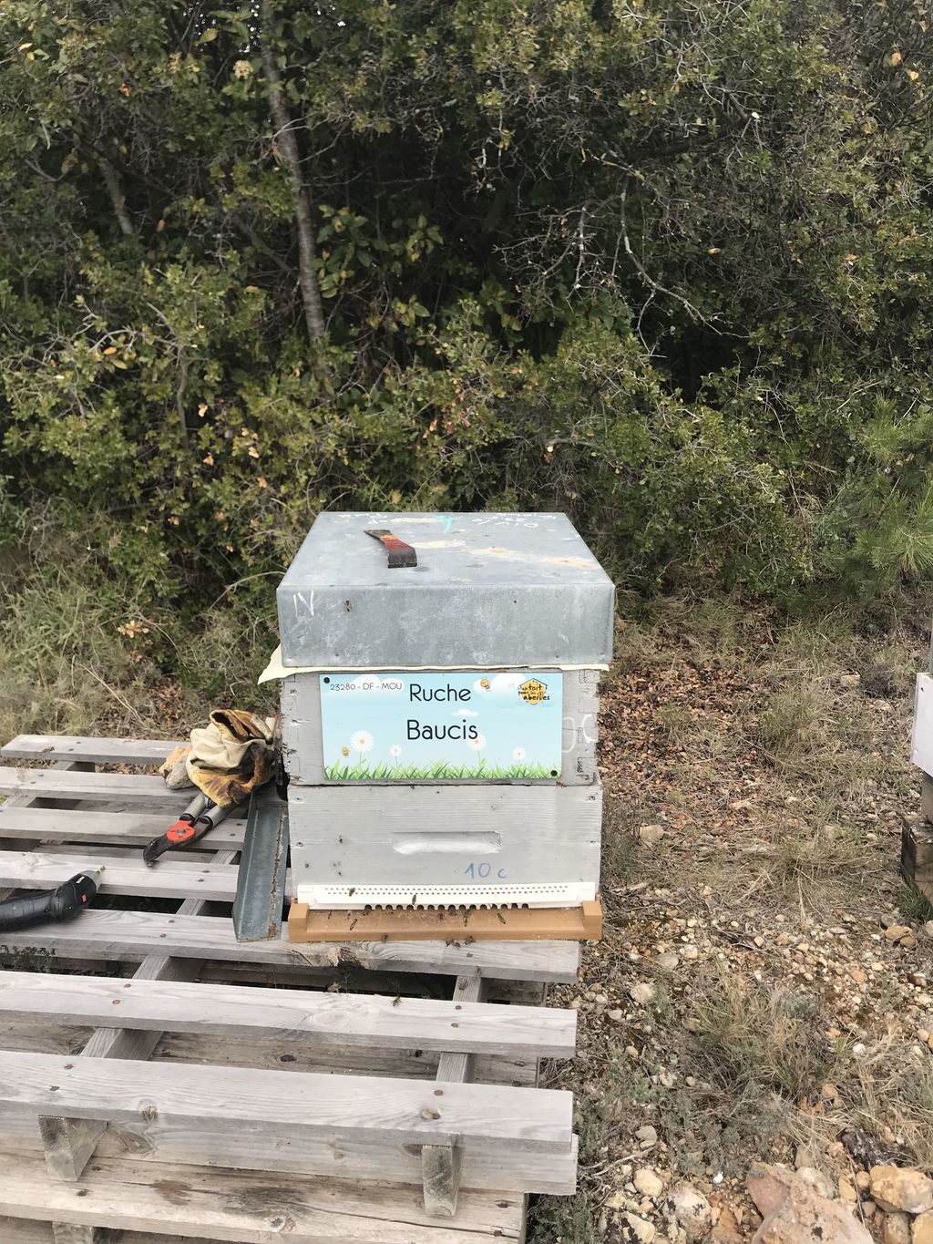 La ruche Baucis