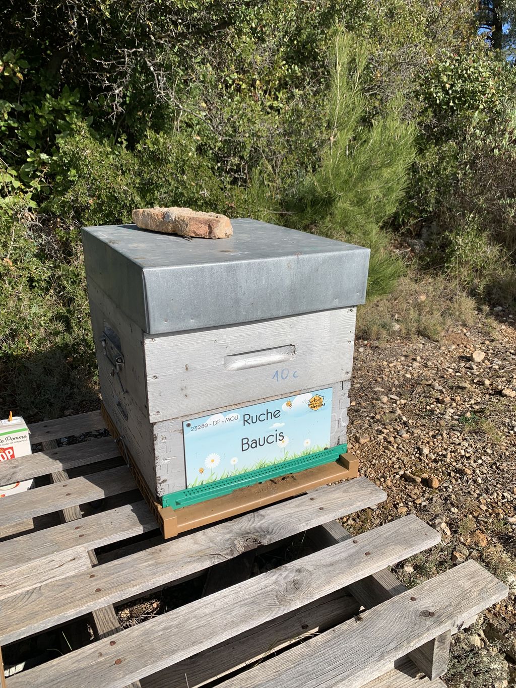 La ruche Baucis