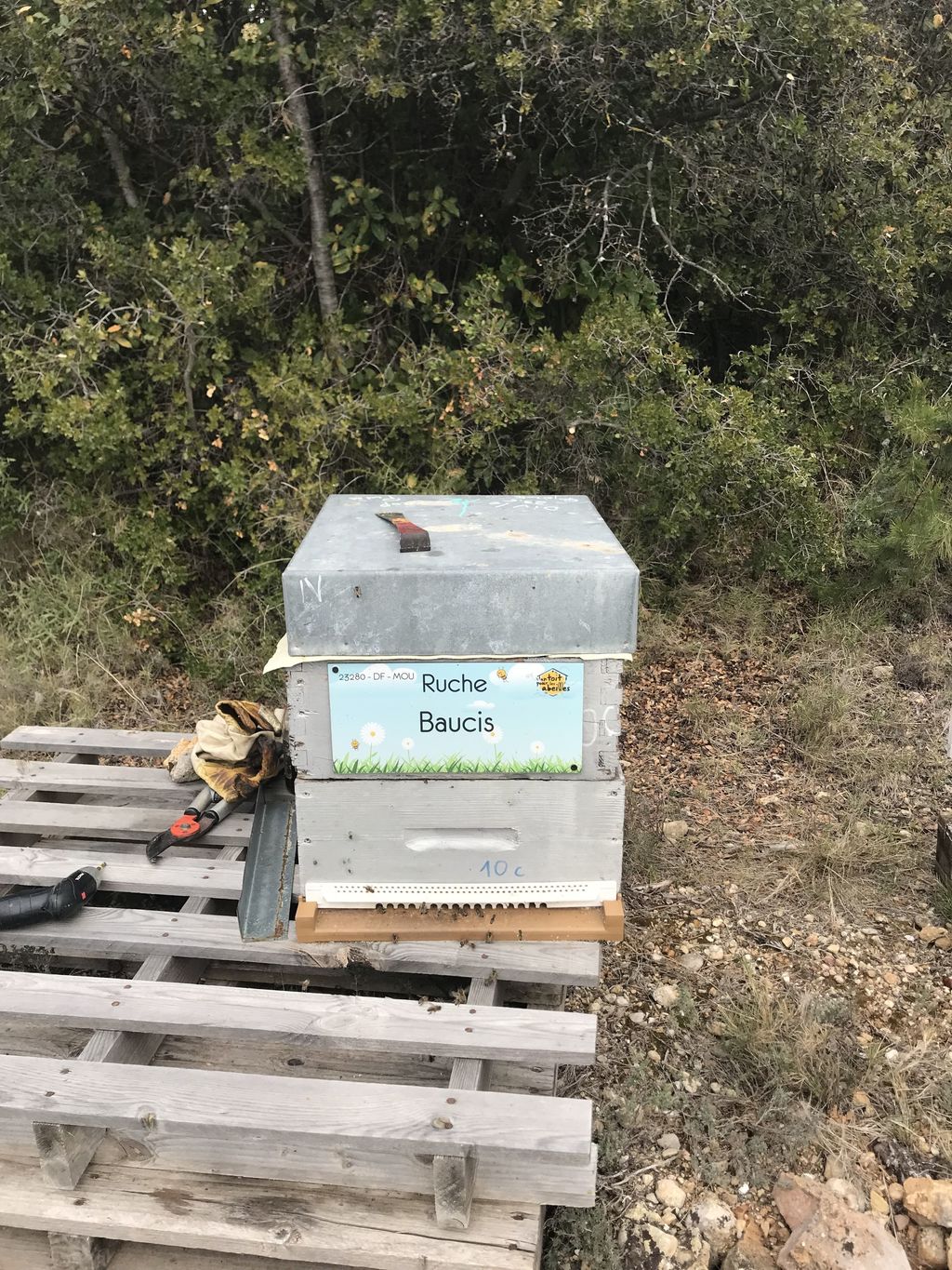 La ruche Baucis