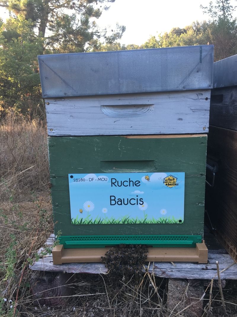 La ruche Baucis