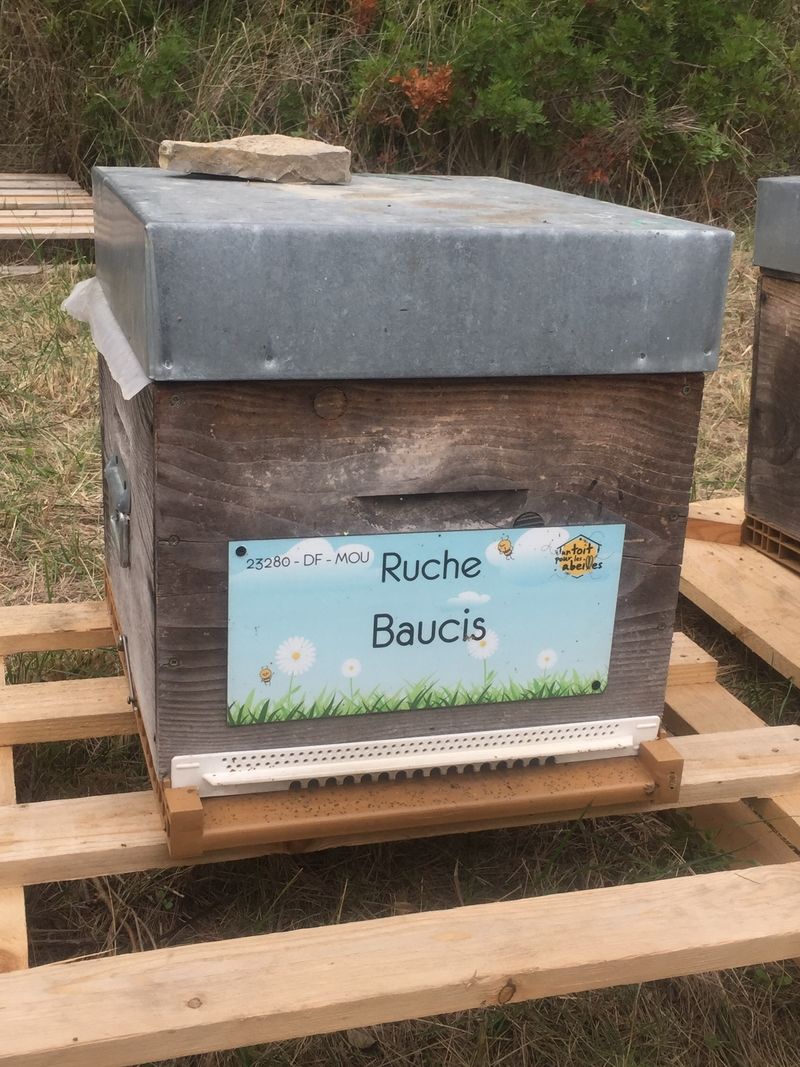 La ruche