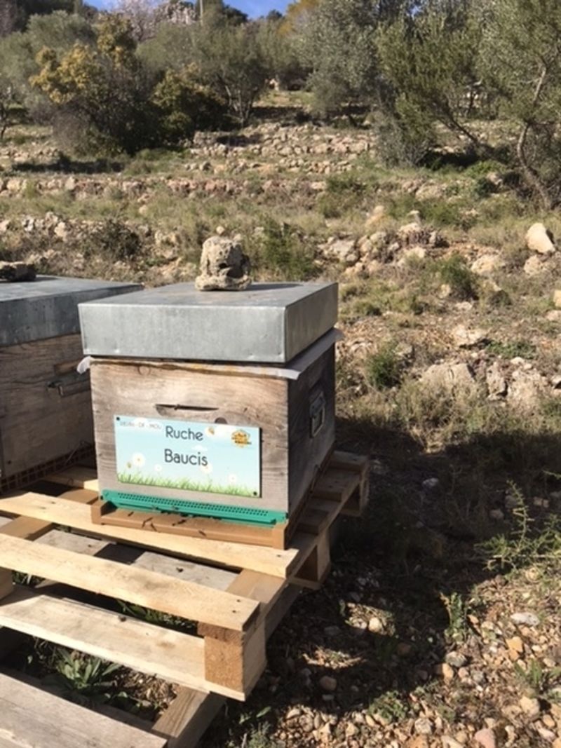 La ruche Baucis