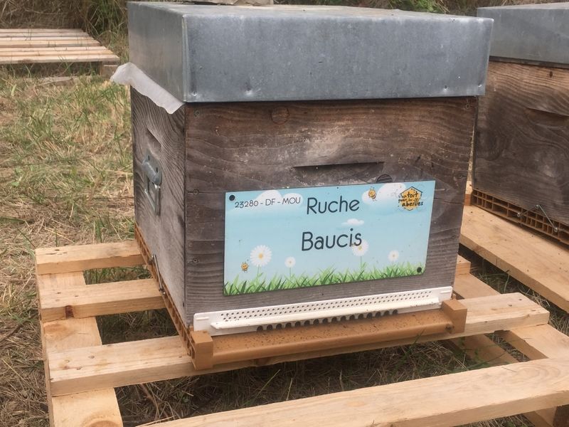 La ruche Baucis