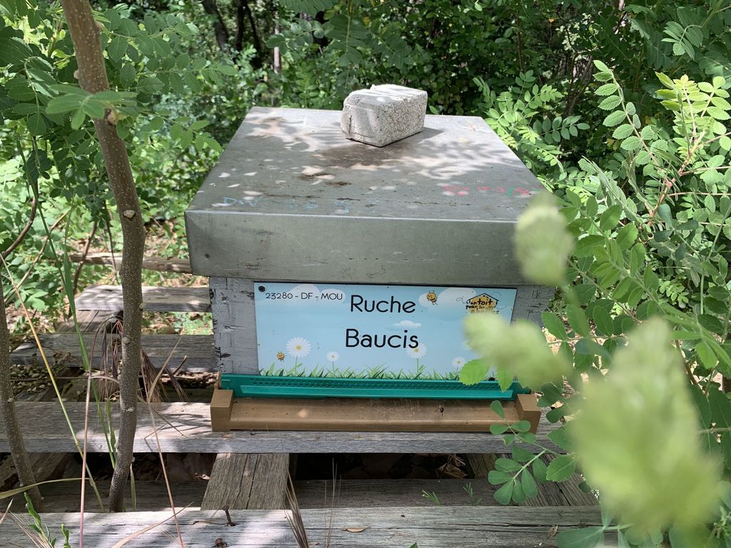 La ruche Baucis