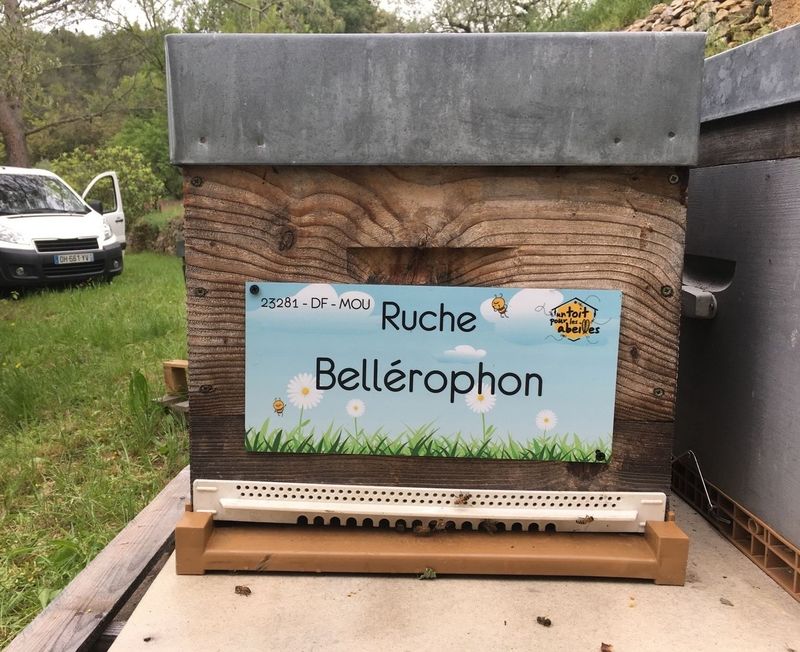 La ruche Bellérophon