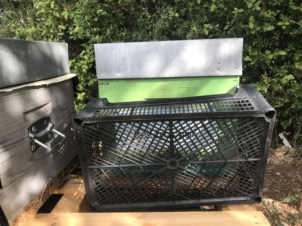 La ruche Bellérophon