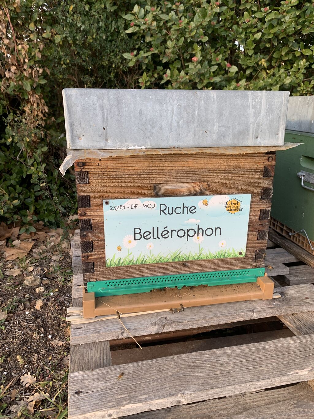 La ruche Bellérophon