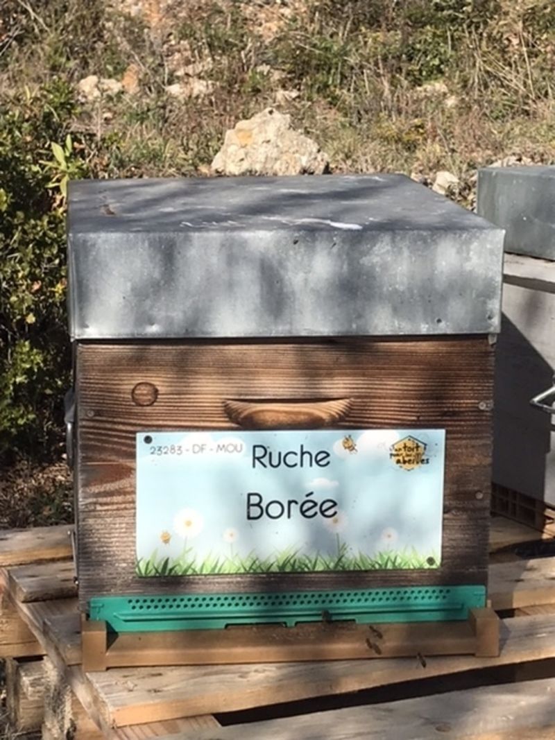 La ruche Borée