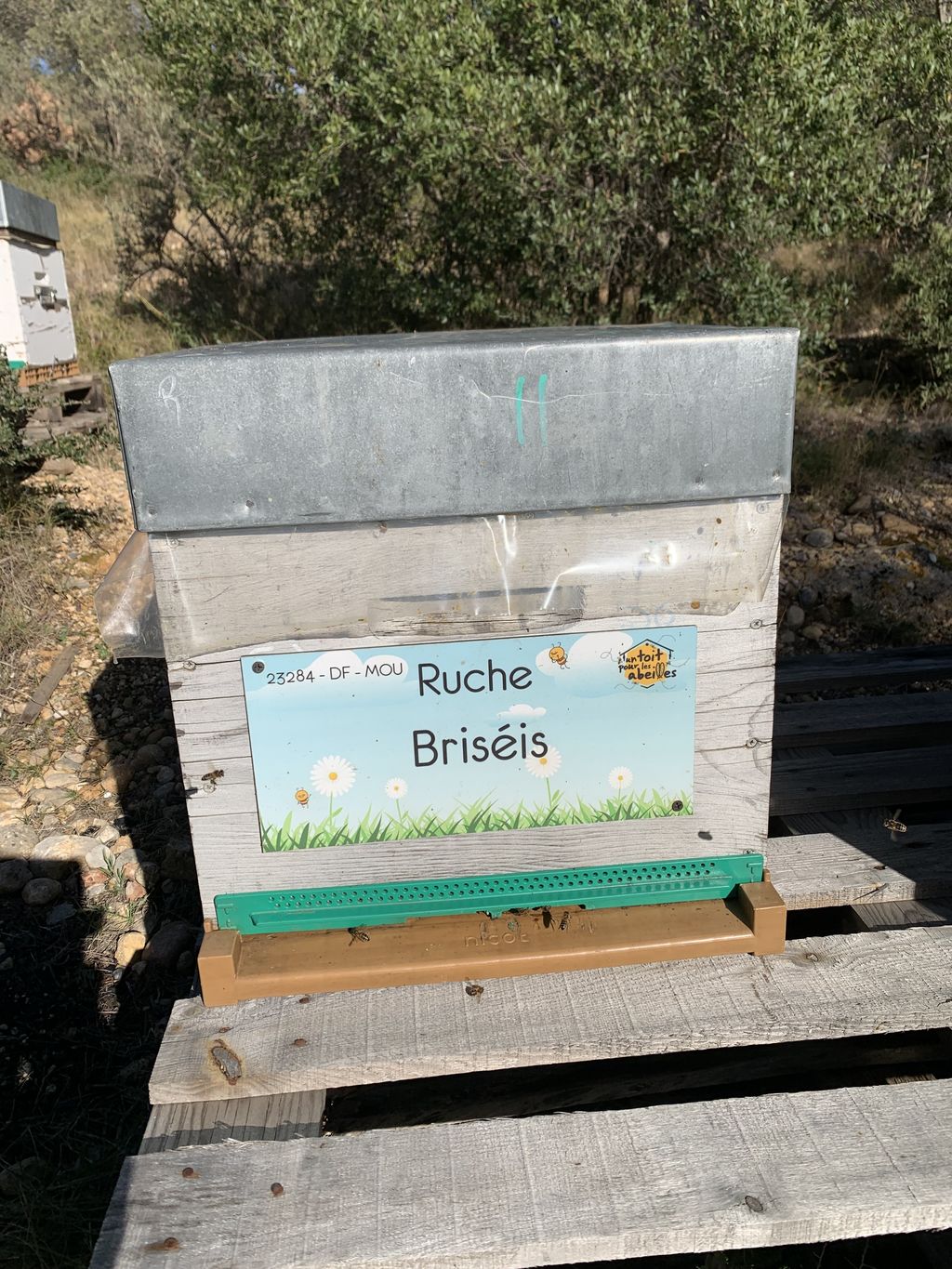 La ruche Briséis