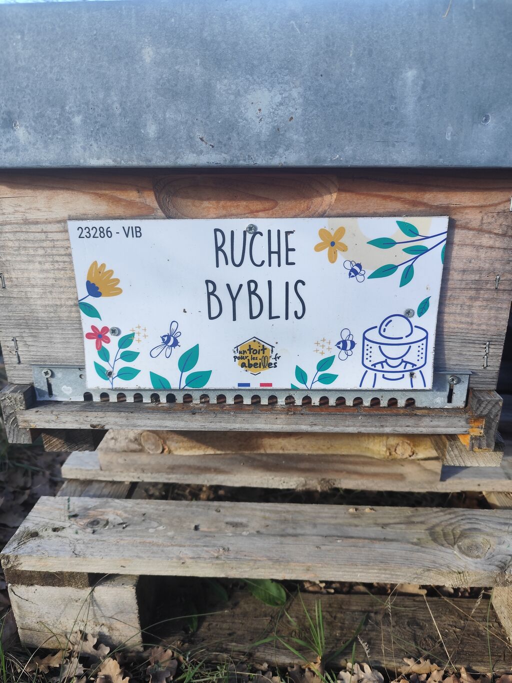 La ruche 