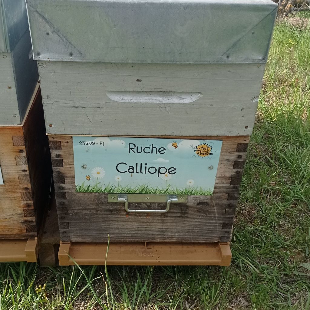 La ruche
