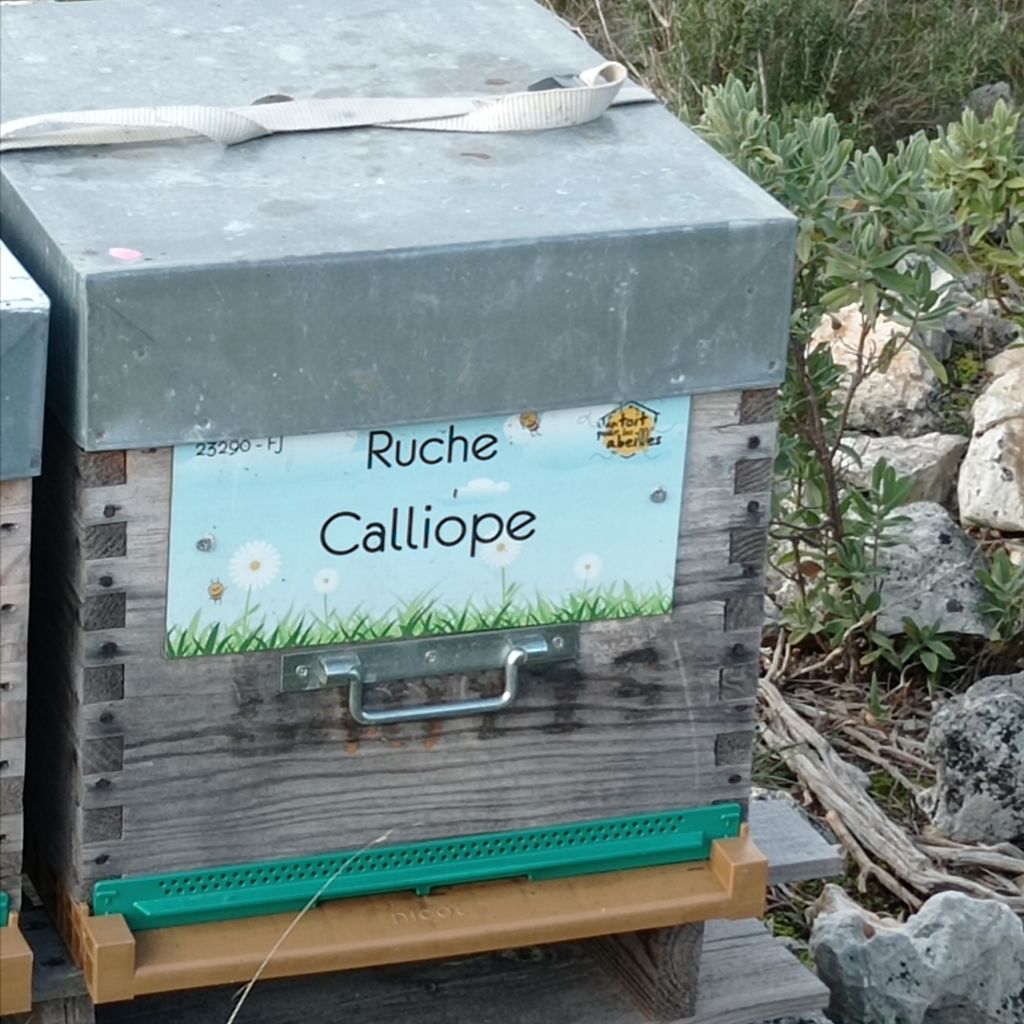 La ruche Calliope