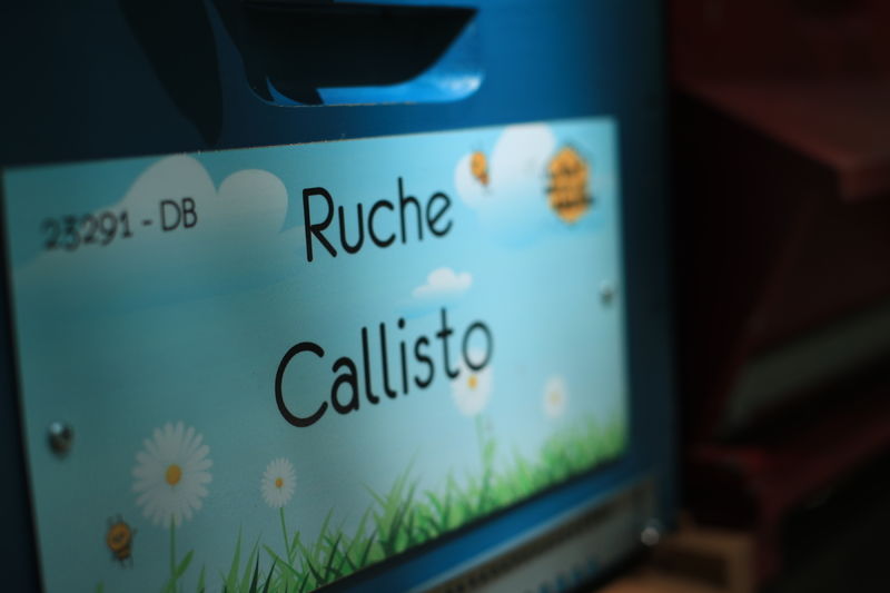 La ruche Callisto