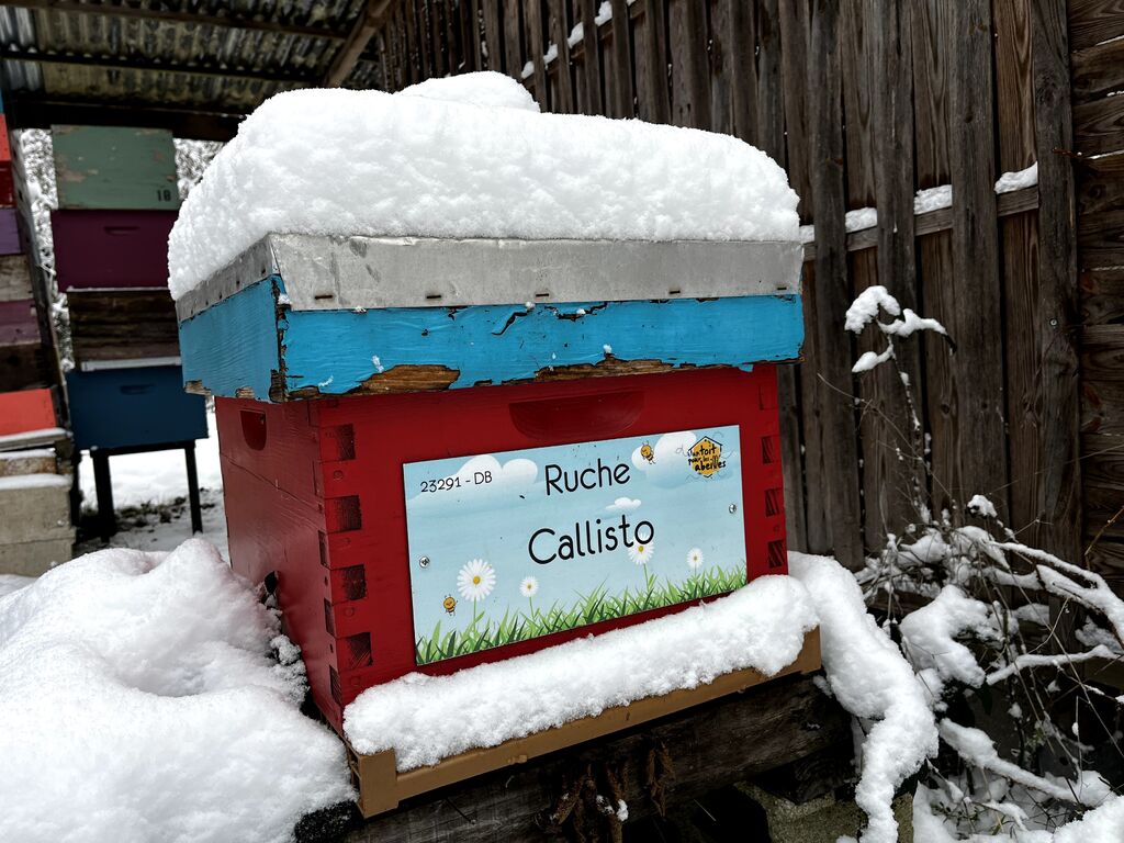 La ruche Callisto