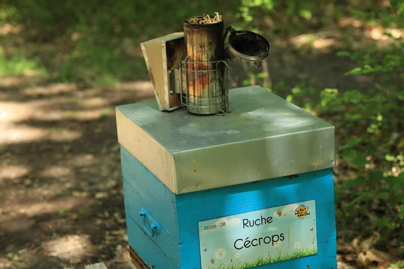 La ruche Cécrops