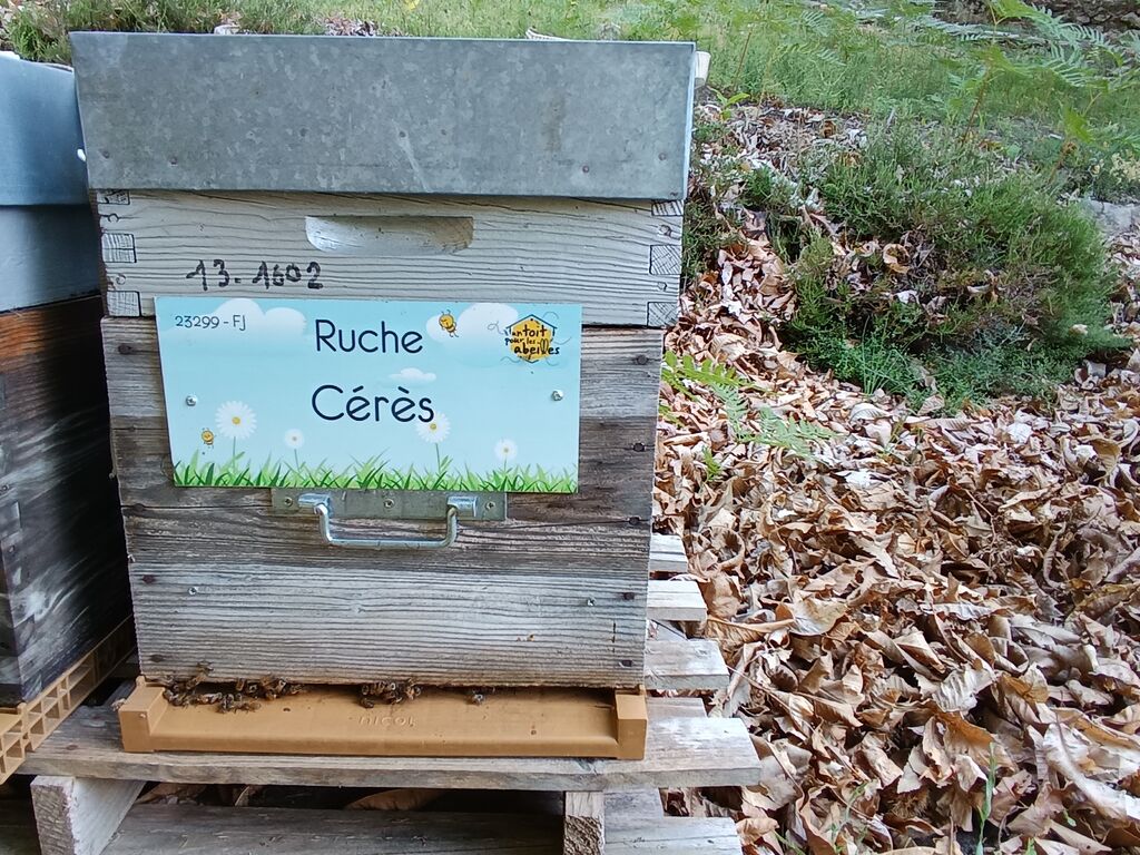 La ruche Cérès