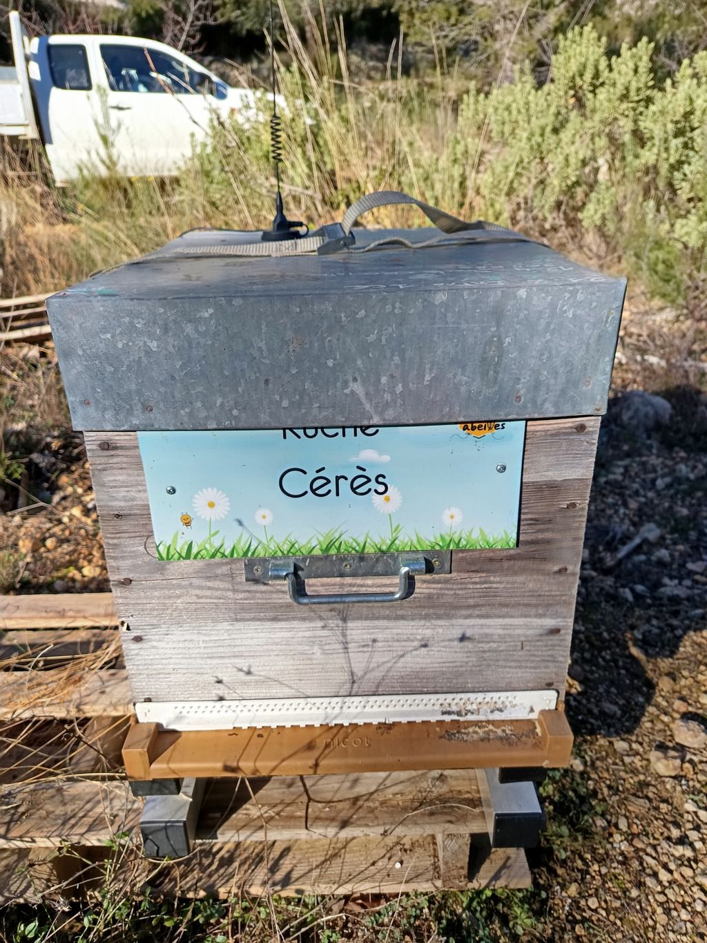 La ruche Cérès