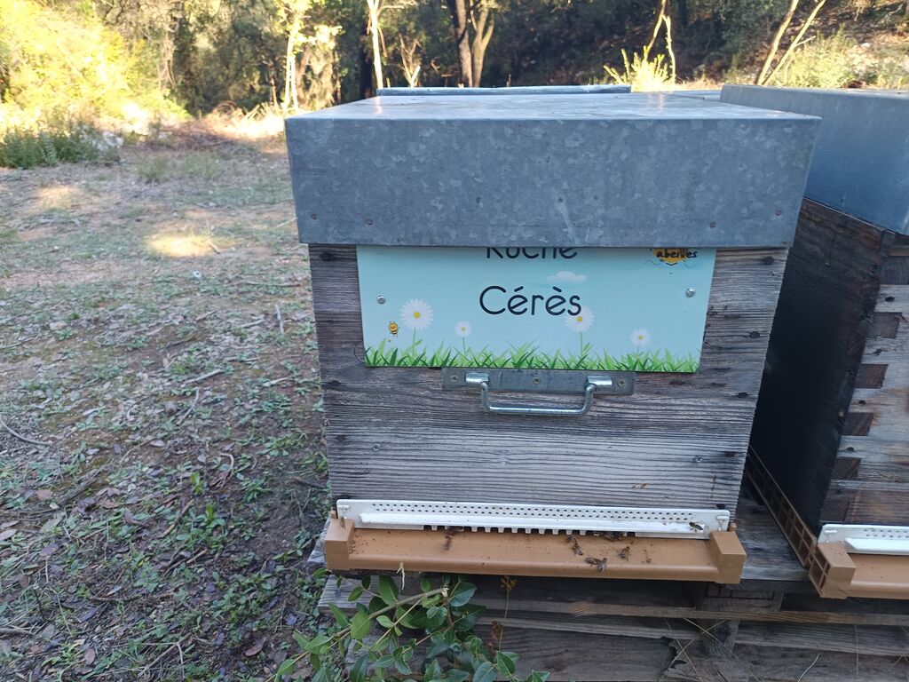 La ruche Cérès