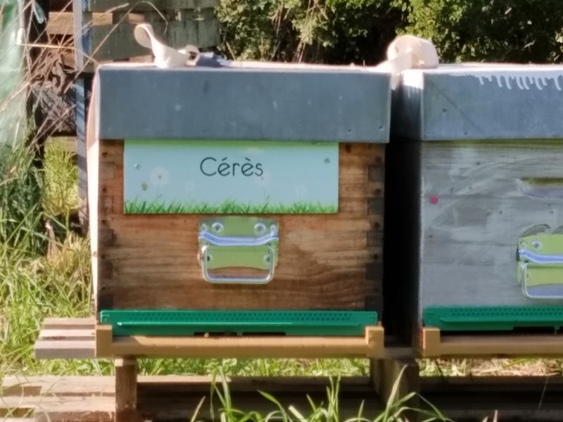 La ruche Cérès