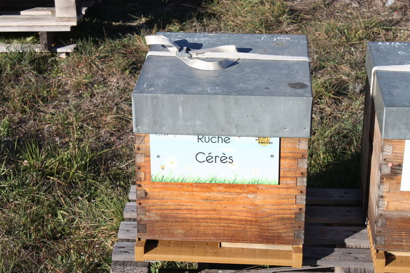 La ruche Cérès
