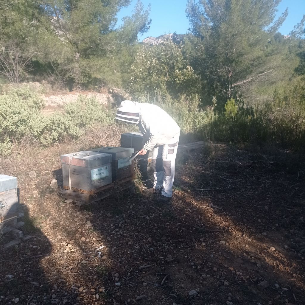 La ruche Cérès