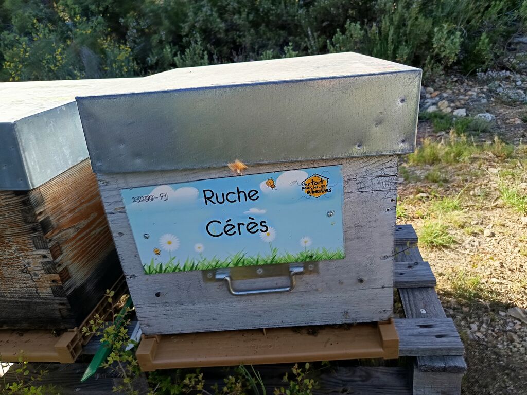 La ruche Cérès