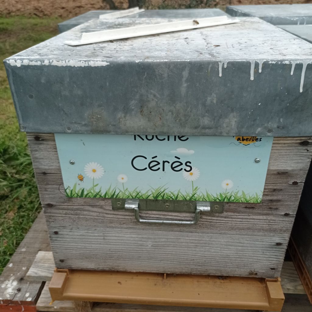 La ruche Cérès