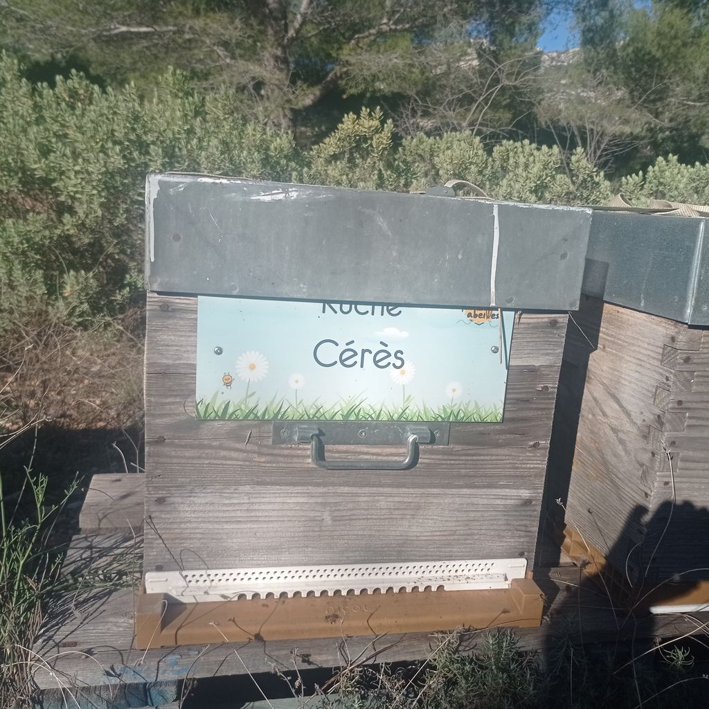 La ruche Cérès