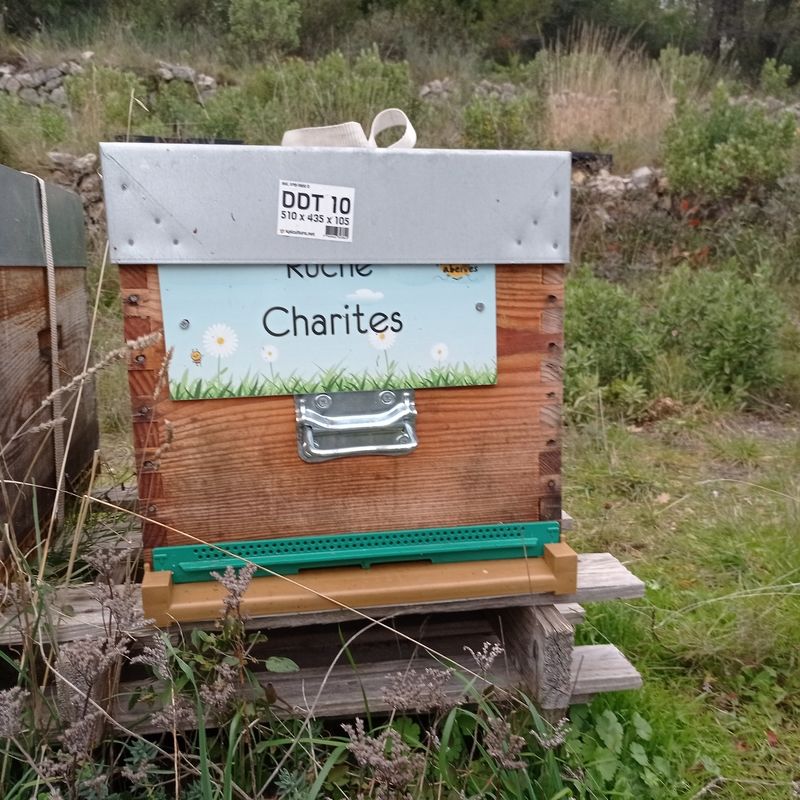 La ruche Charites
