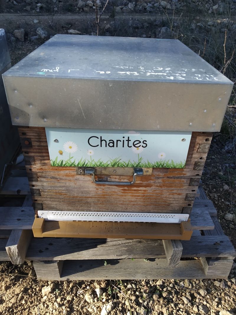 La ruche Charites