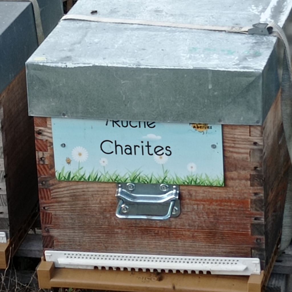 La ruche Charites