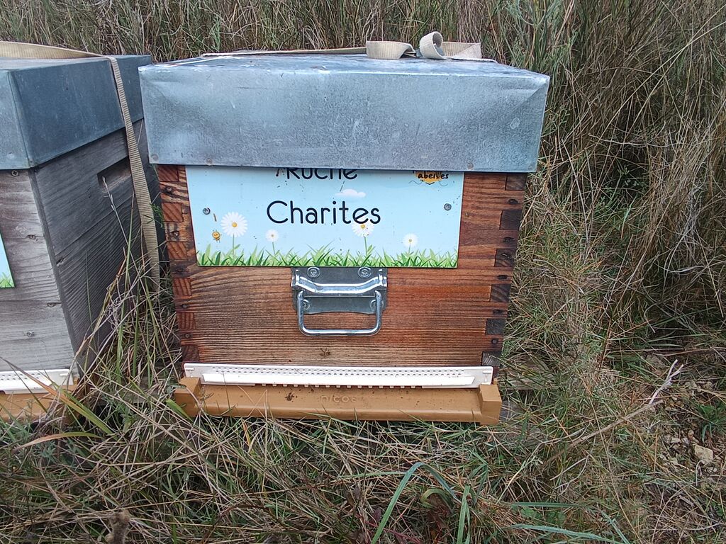 La ruche Charites