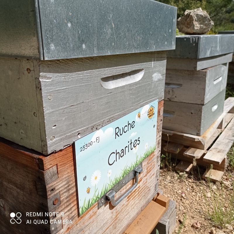 La ruche Charites