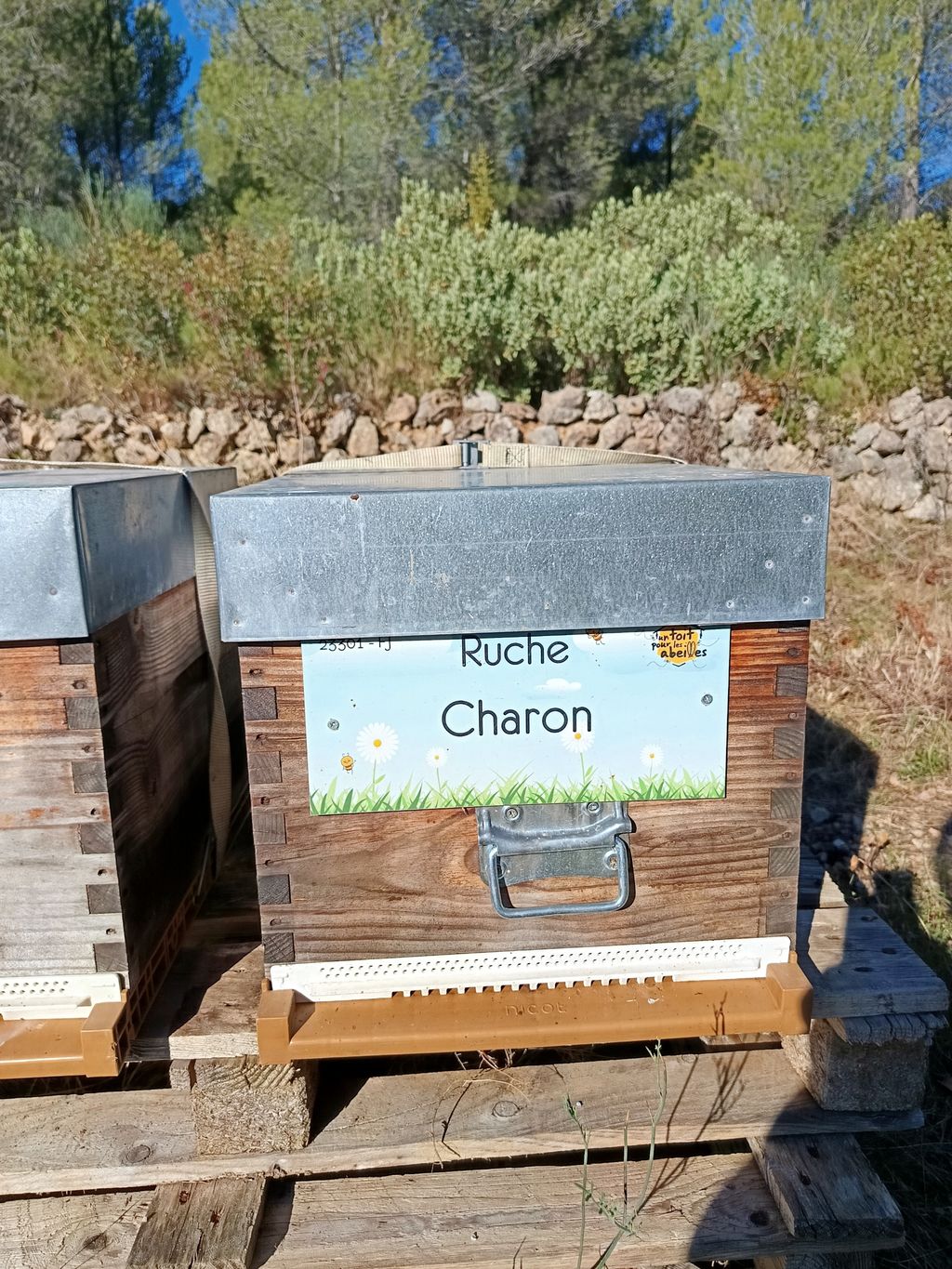 La ruche Charon