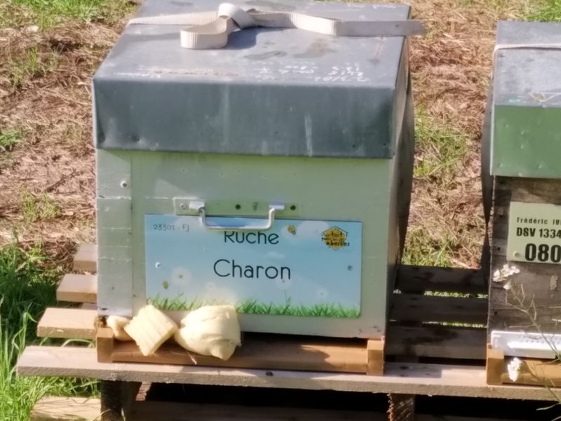 La ruche Charon