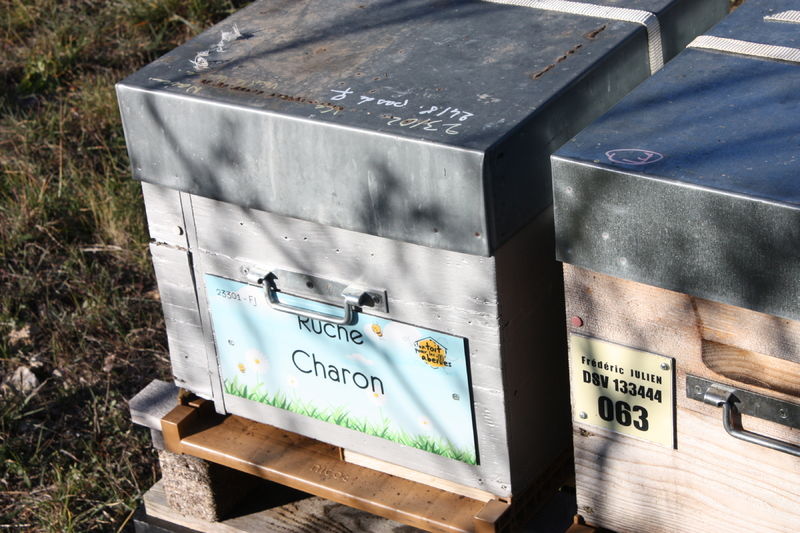 La ruche Charon