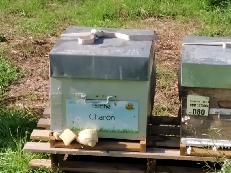 La ruche Charon