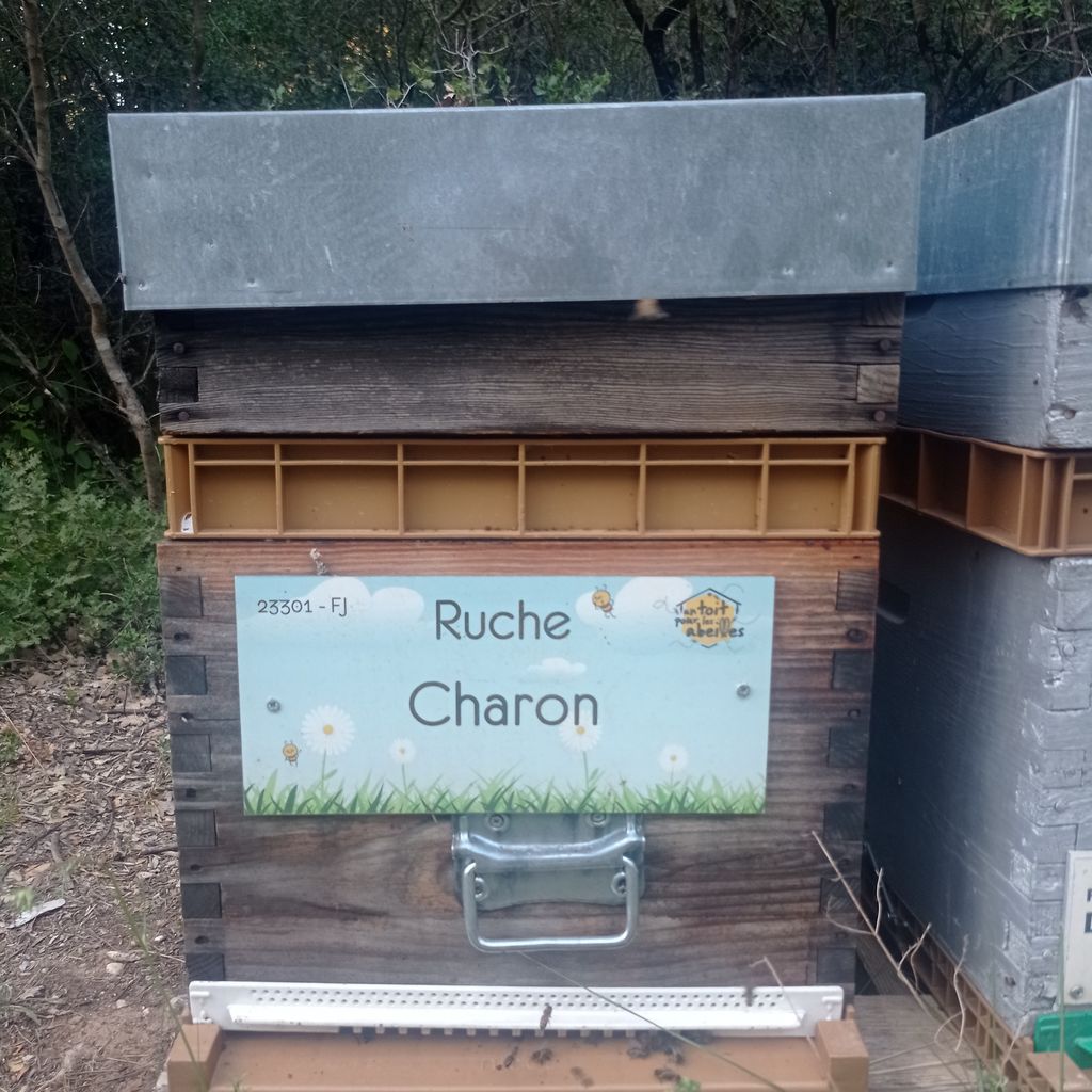 La ruche Charon